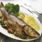 Biban de mare la grătar