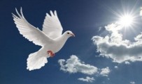 Rusaliile – Sărbătoarea Coborârii Sfântului Duh