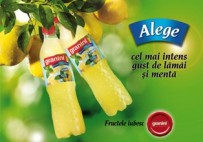 Cele mai noi arome lansate de Granini