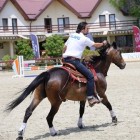 Alavis, brandul campionilor este prezent și în țara noastră