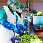 Eisberg, un reper privind securitatea alimentară a salatelor gata de consum