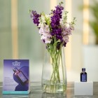 Vedetele au descoperit, în premieră în România, noul ulei tratament pentru păr, Moroccanoil Purple