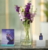 Vedetele au descoperit, în premieră în România, noul ulei tratament pentru păr, Moroccanoil Purple